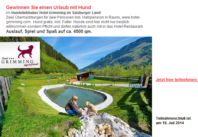 Hunde Gewinnspiel