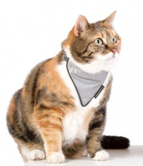 Cat-Control Katzenhalstuch reflektierend